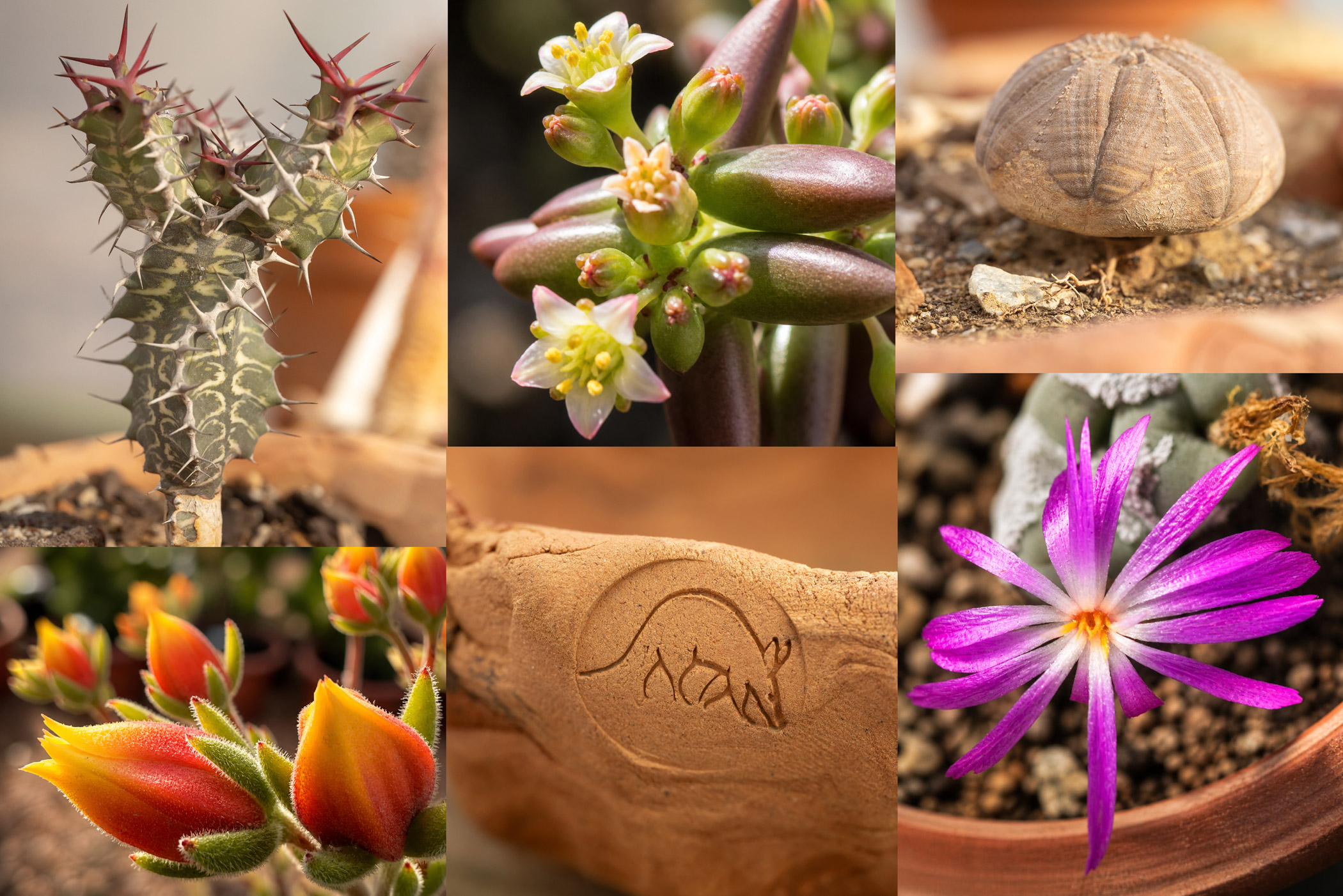 aardvark-bioreserve-home-sections-5